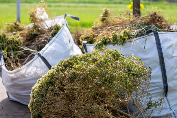 Best Dumpster Rental Services  in Montrose, PA