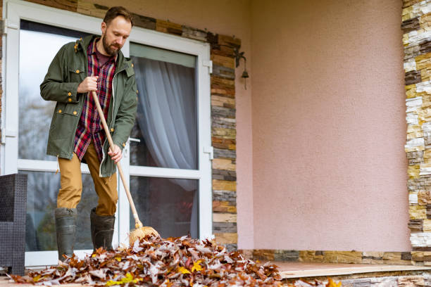 Best Affordable Junk Removal Services  in Montrose, PA